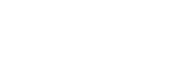 Collectors Outlet llc logo